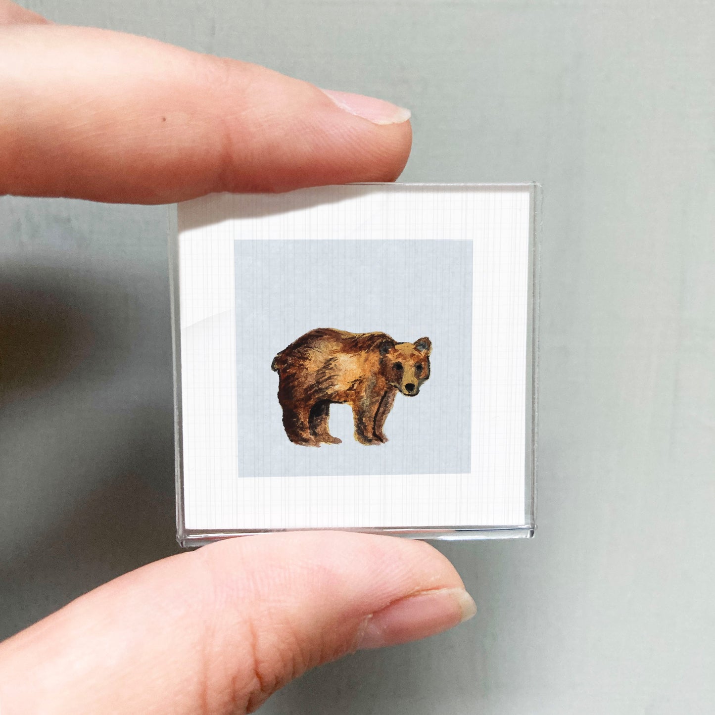 A person's hand is holding a small square picture of a bear.