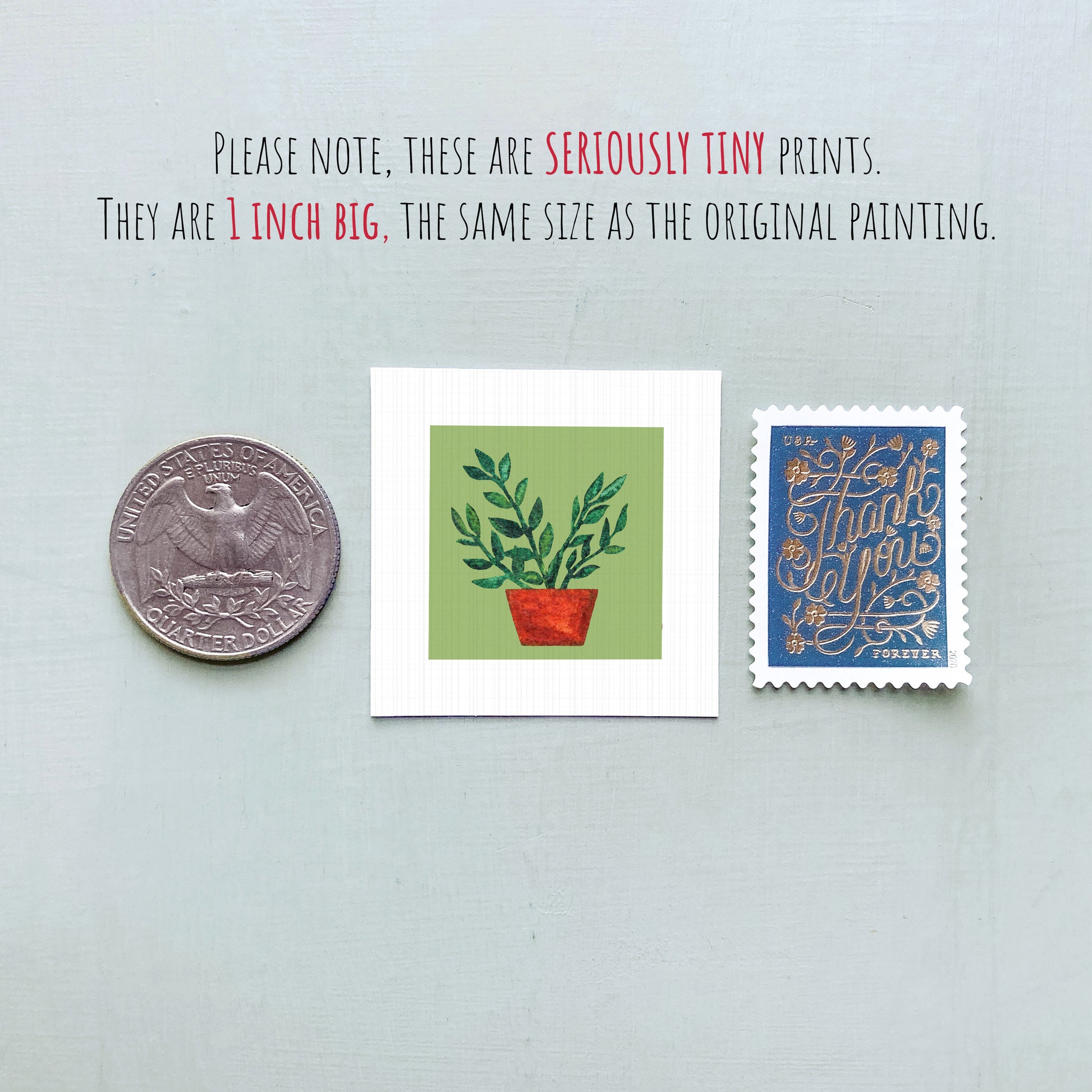 three small items: a quarter, a square print of a plant, and a postage stamp.
