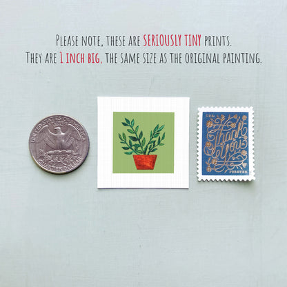 three small items: a quarter, a square print of a plant, and a postage stamp.