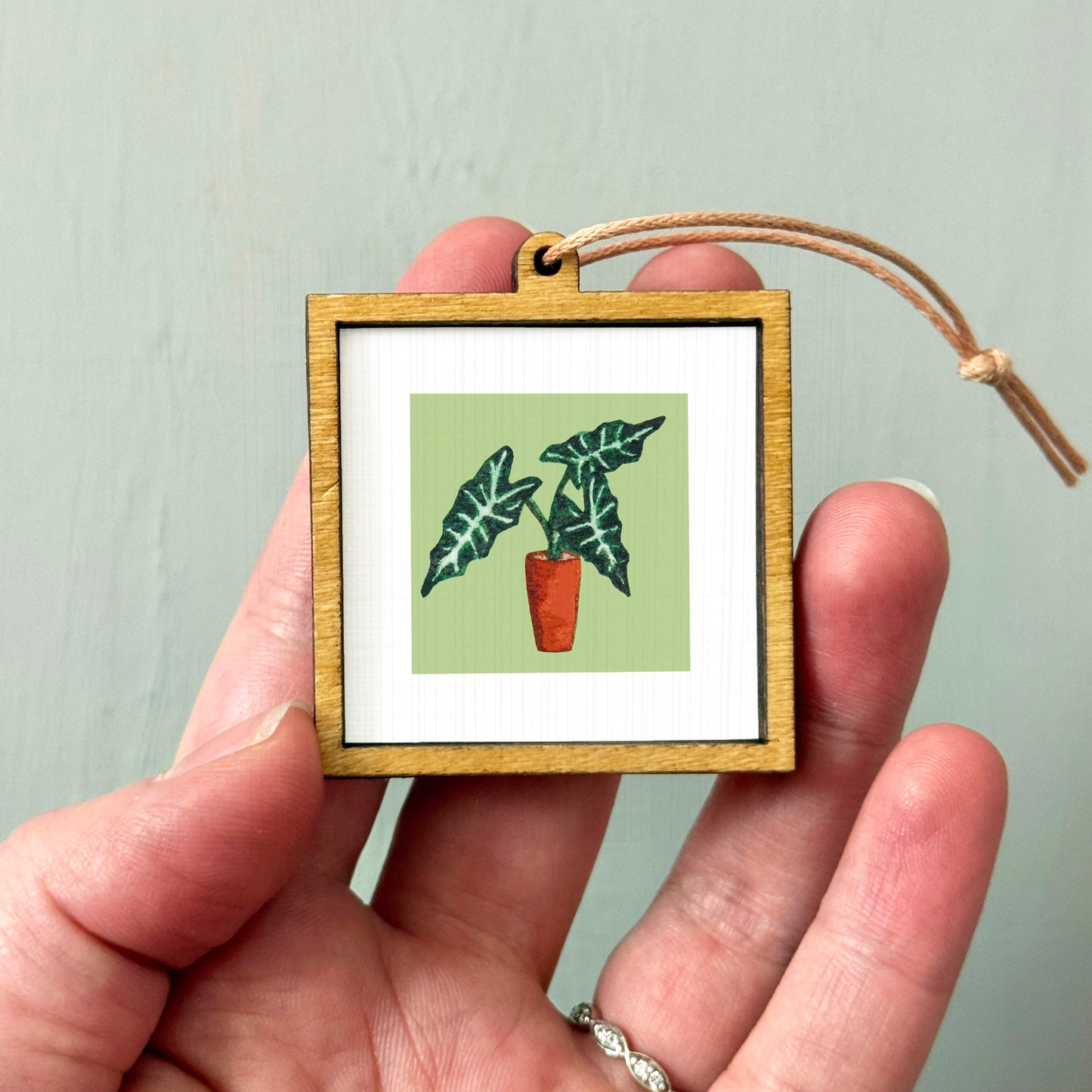 A person's hand holding a small wooden frame containing a framed illustration of a plant with green leaves and a red pot.