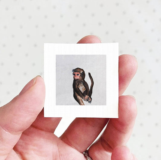 A hand holding a small square picture of a monkey against a white background.