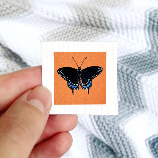 A hand is holding a small square card with an image of a black butterfly on it.