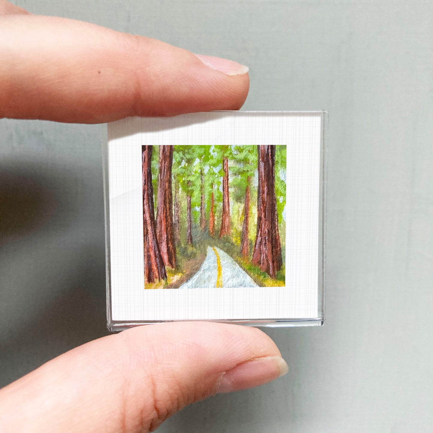 A person's hand holding a small square picture of a forest road with tall trees on either side.