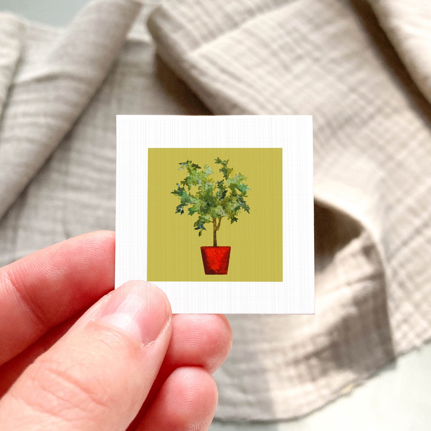 A hand is holding a small square card with a picture of a potted plant on it.