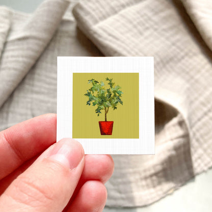 A hand is holding a small square card with a picture of a potted plant on it.