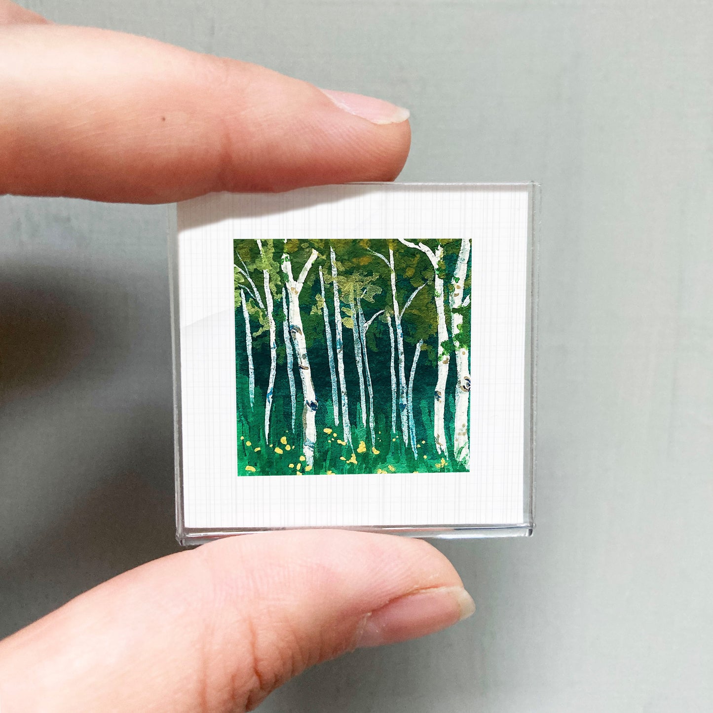 A person's hand holding a small square picture of a forest scene with white birch trees and green foliage.