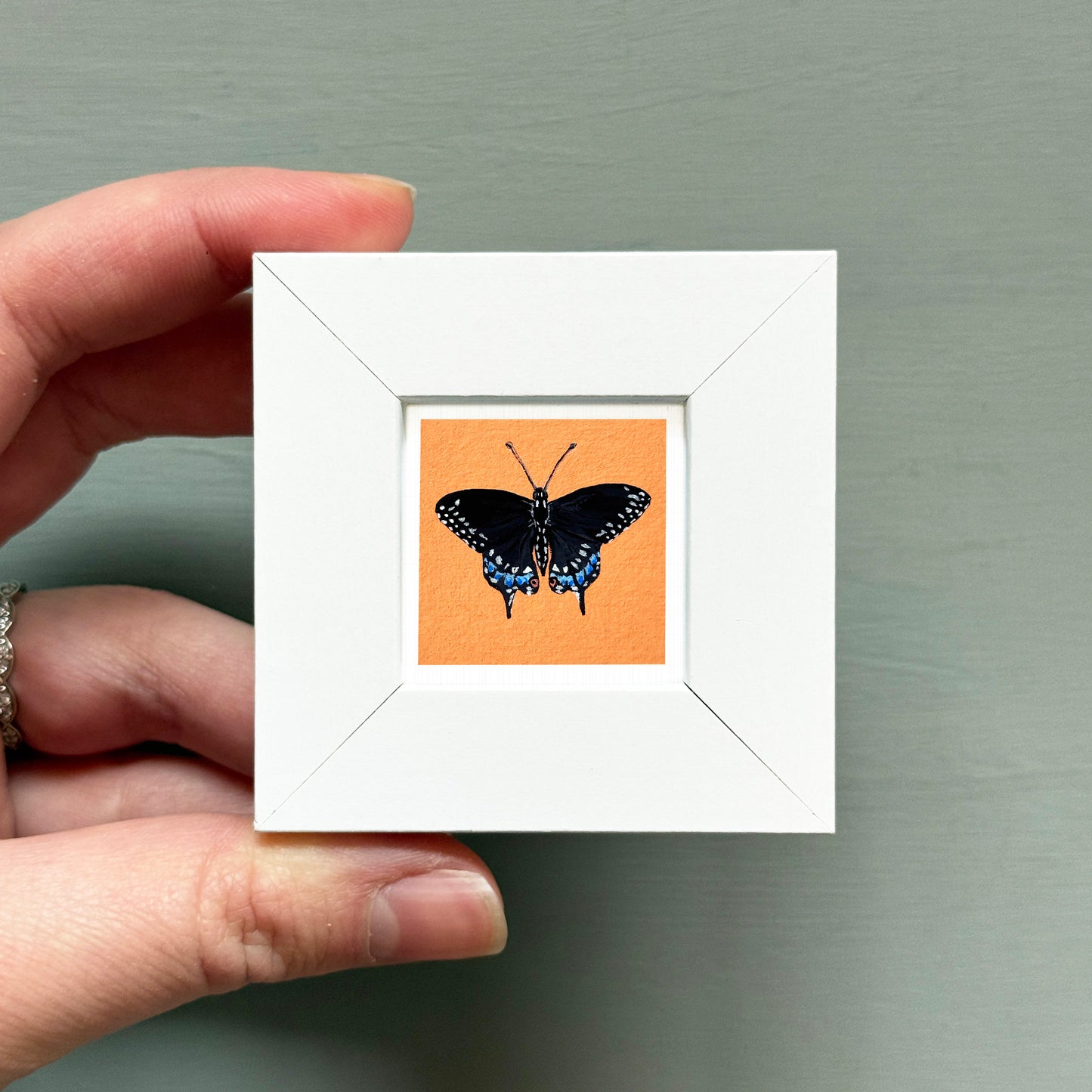 A hand is holding a small white frame containing a framed image of a black butterfly with blue markings.