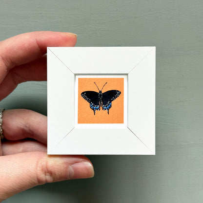 A hand is holding a small white frame containing a framed image of a black butterfly with blue markings.
