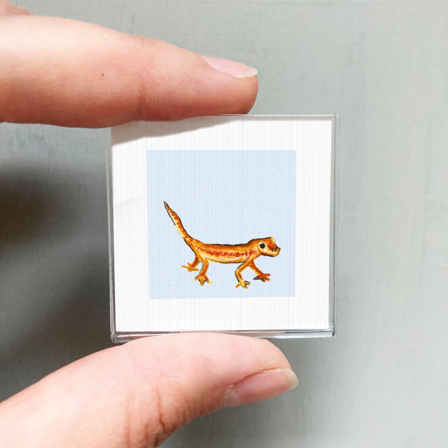A person's hand is holding a small square picture of a gecko, which is a type of lizard.