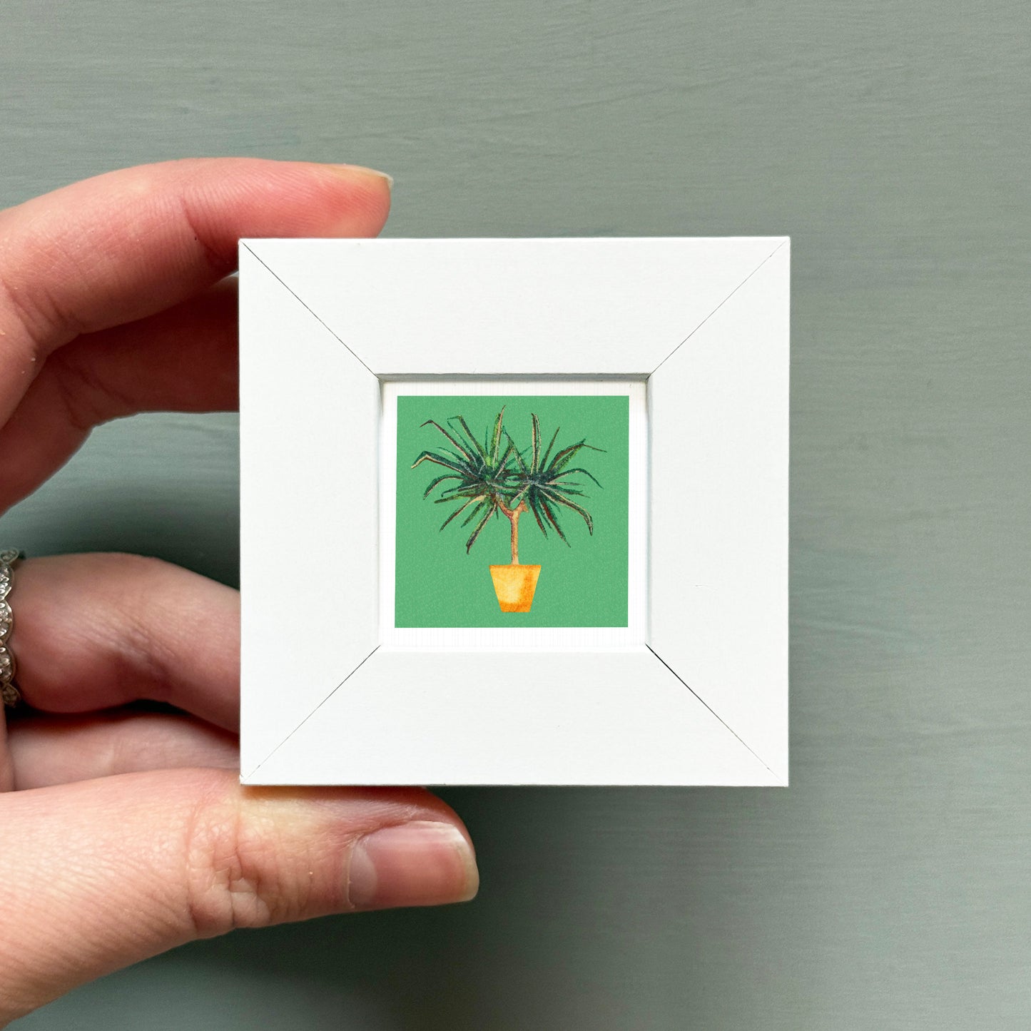 A hand is holding a small white picture frame containing a miniature painting of a potted plant.