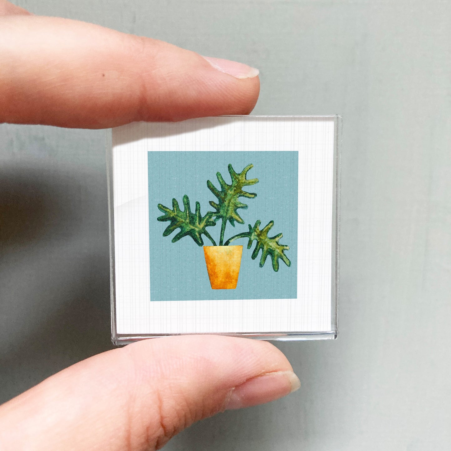 A person's hand holding a small square picture of a potted plant with green leaves.