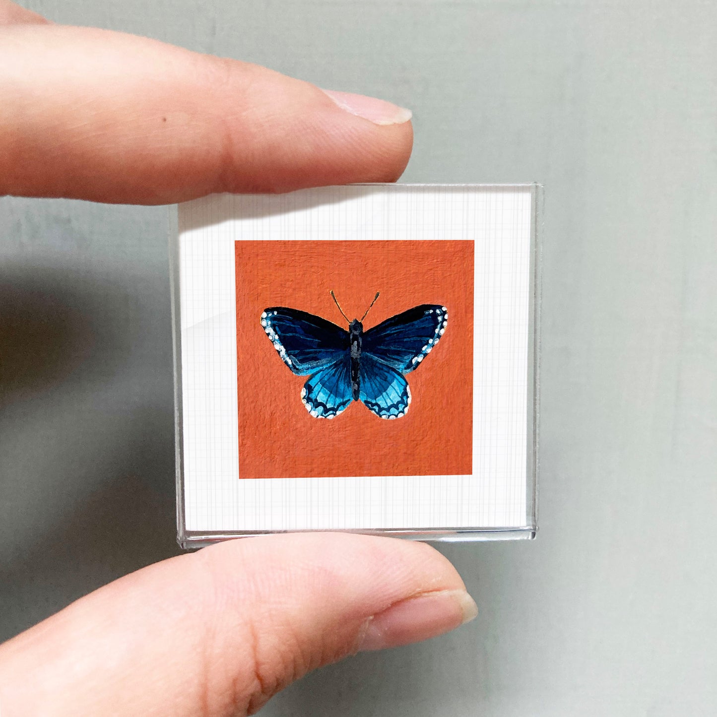 A person's hand is holding a small square frame containing a vibrant image of a blue butterfly against an orange background.