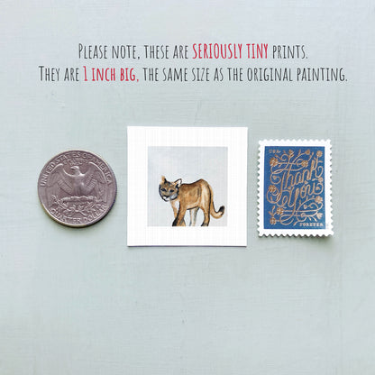 a collection of three small items: a quarter, a postage stamp, and a painting of a cat.