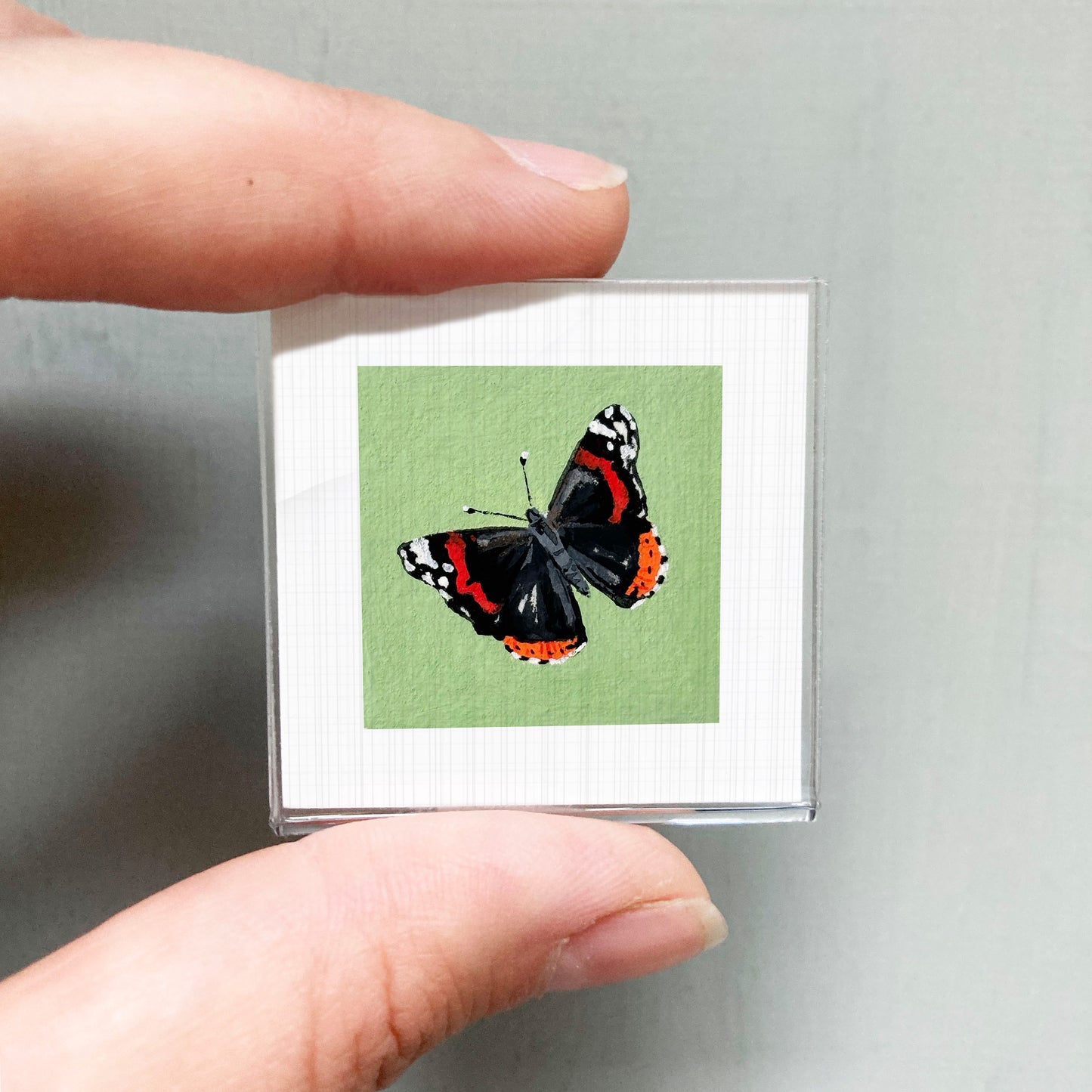A person's hand is holding a small square frame containing a close-up image of a colorful butterfly.
