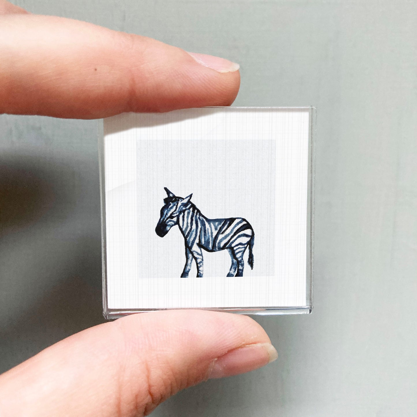 A person's hand is holding a small square with a black and white zebra illustration on it.