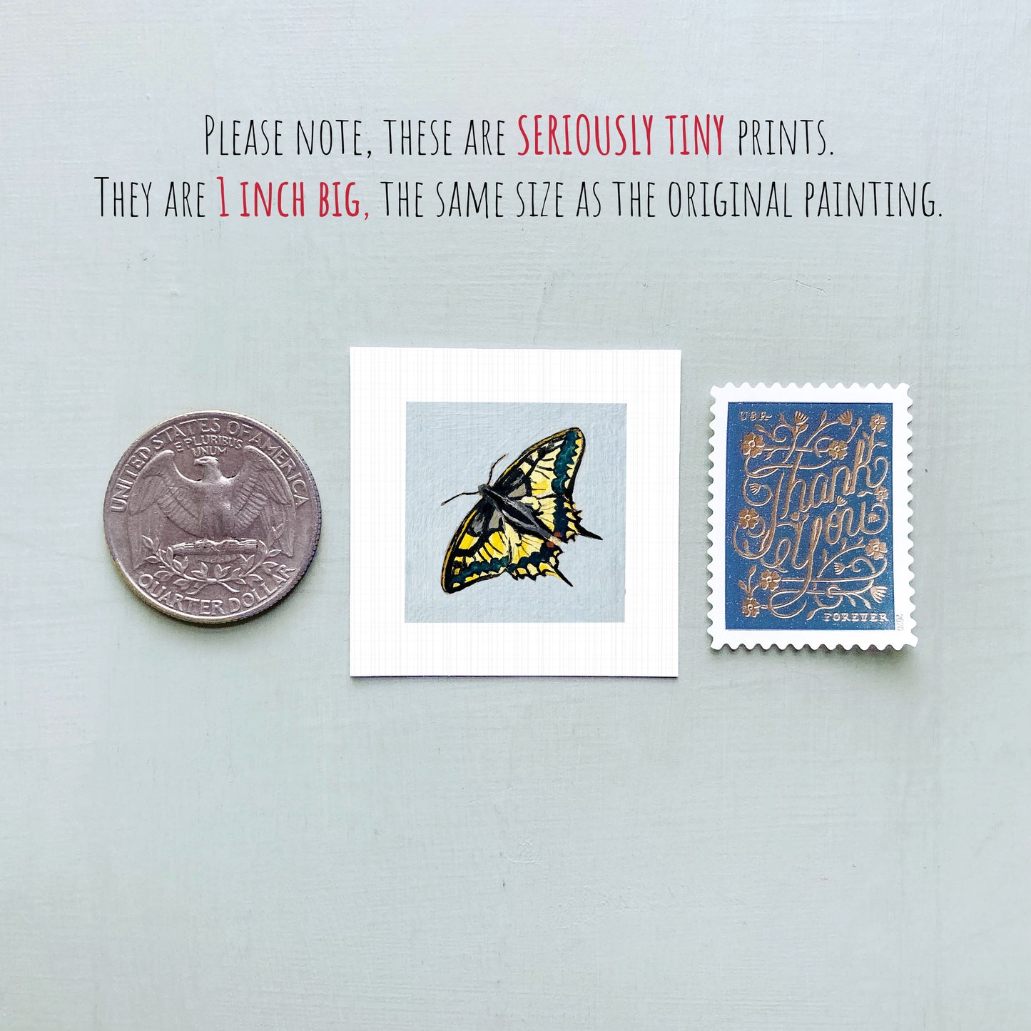 a collection of three small items: a silver coin, a white square with a butterfly illustration, and a blue postage stamp.