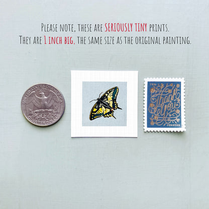 a collection of three small items: a silver coin, a white square with a butterfly illustration, and a blue postage stamp.