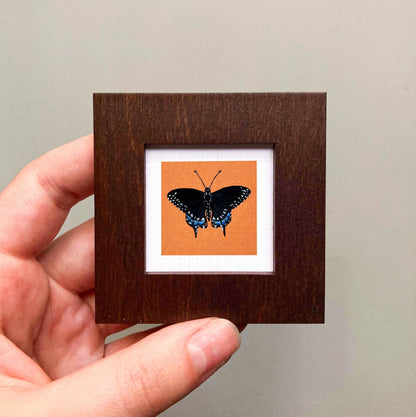 A hand is holding a small wooden frame containing a framed image of a black butterfly with orange wings.