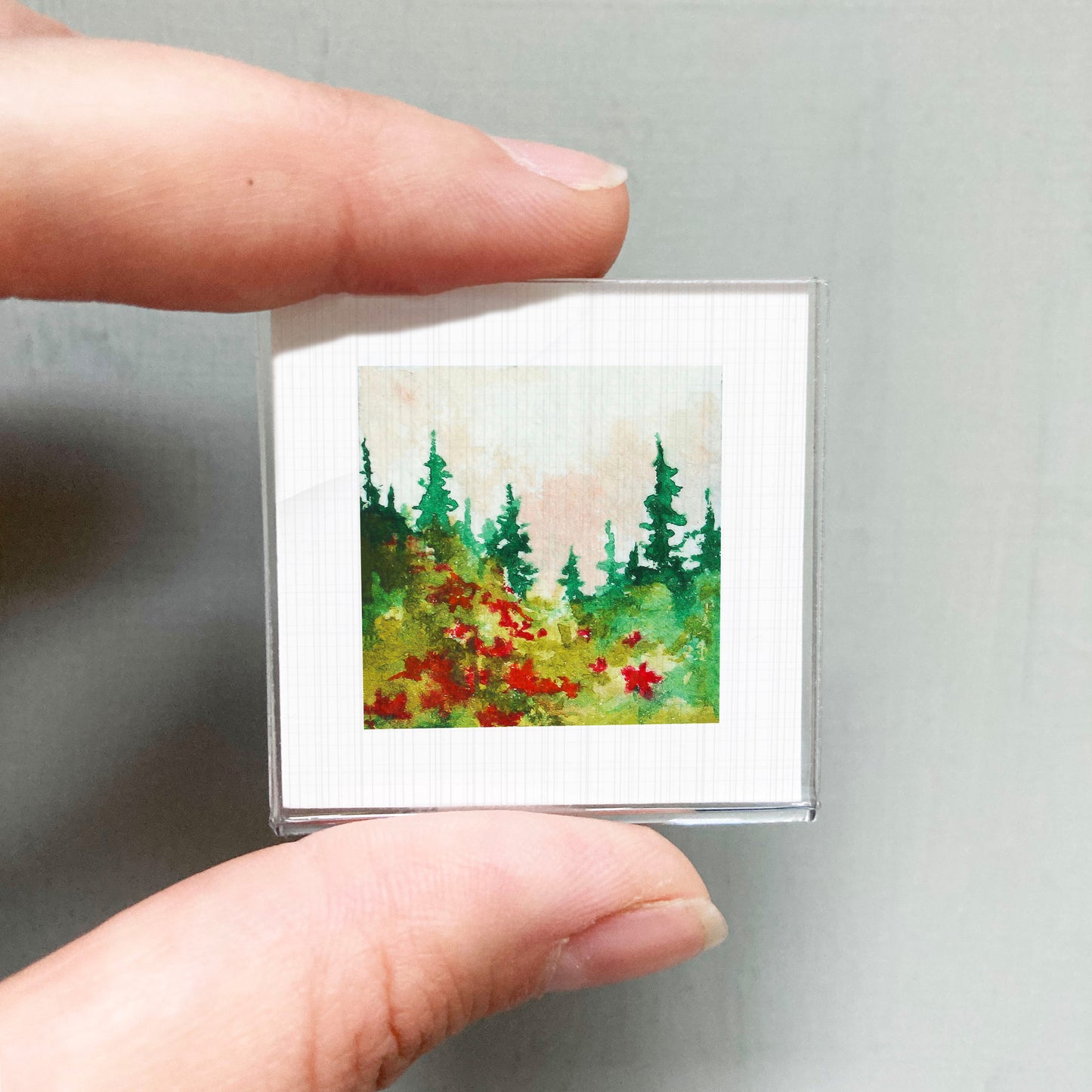 A person's hand holding a small square picture of a forest scene with green trees and red flowers.