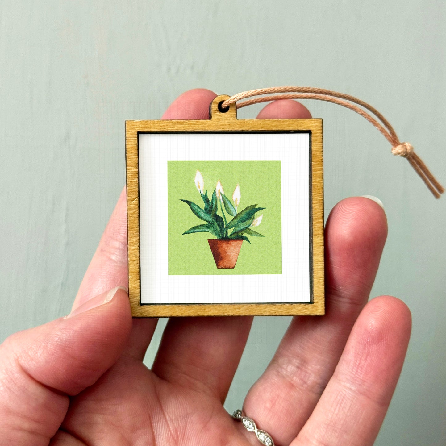 A person's hand holding a small wooden frame containing a picture of a potted plant.