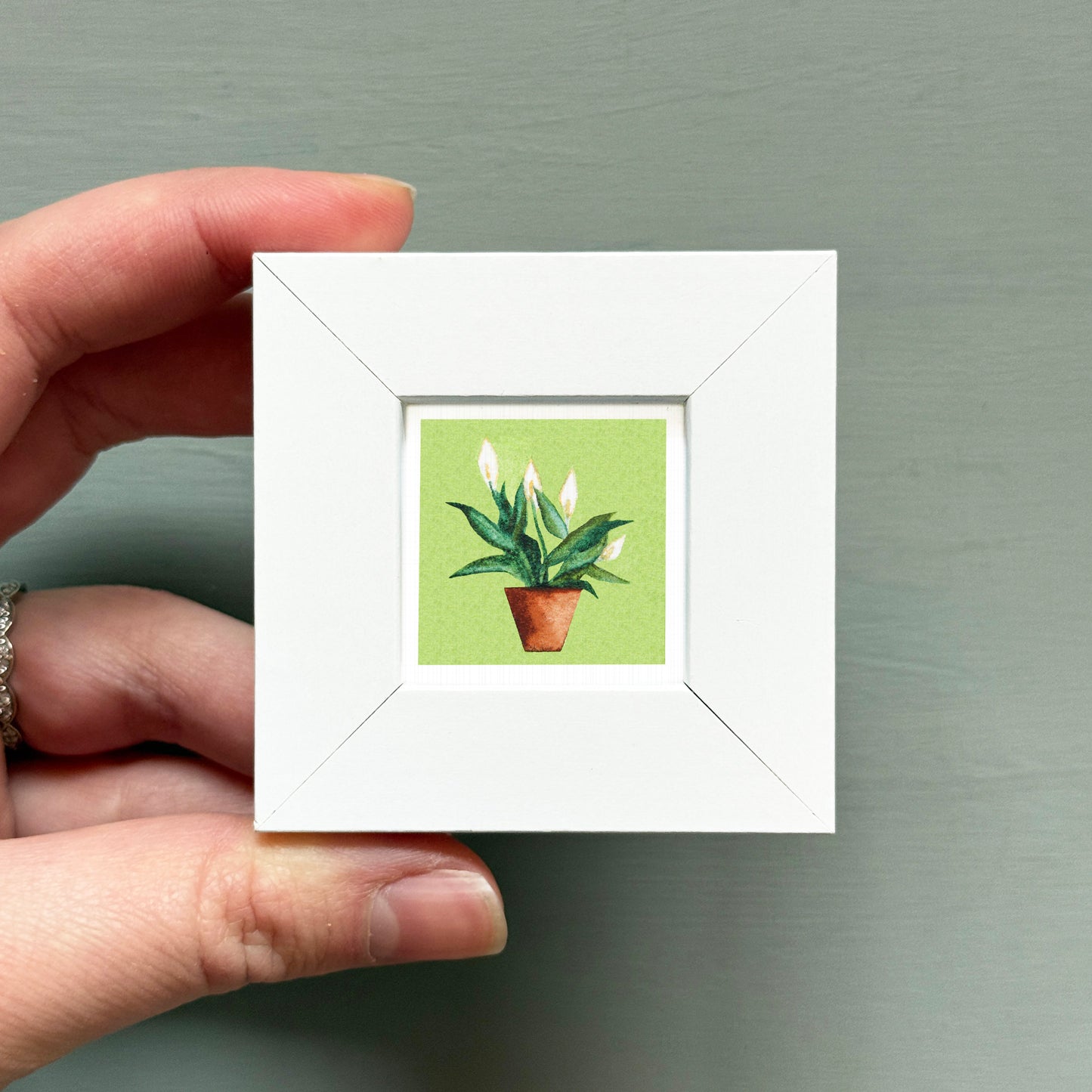 A hand is holding a small white square frame containing a painting of a potted plant with green leaves.