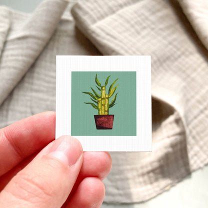 A hand is holding a small square card with a picture of a potted plant on it.