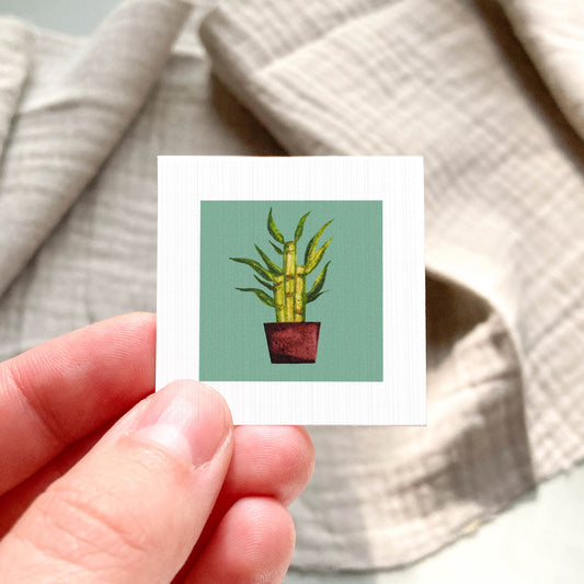 A hand is holding a small square card with a picture of a potted plant on it.