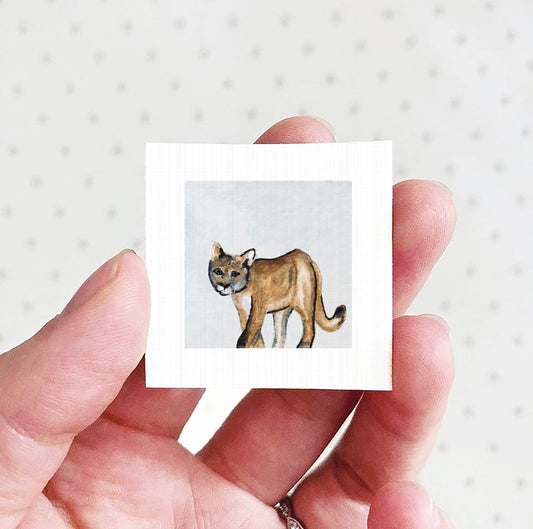 A hand holding a small square picture of a brown cat.