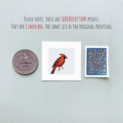a collection of three small items: a quarter, a piece of paper with a red bird illustration, and a postage stamp.