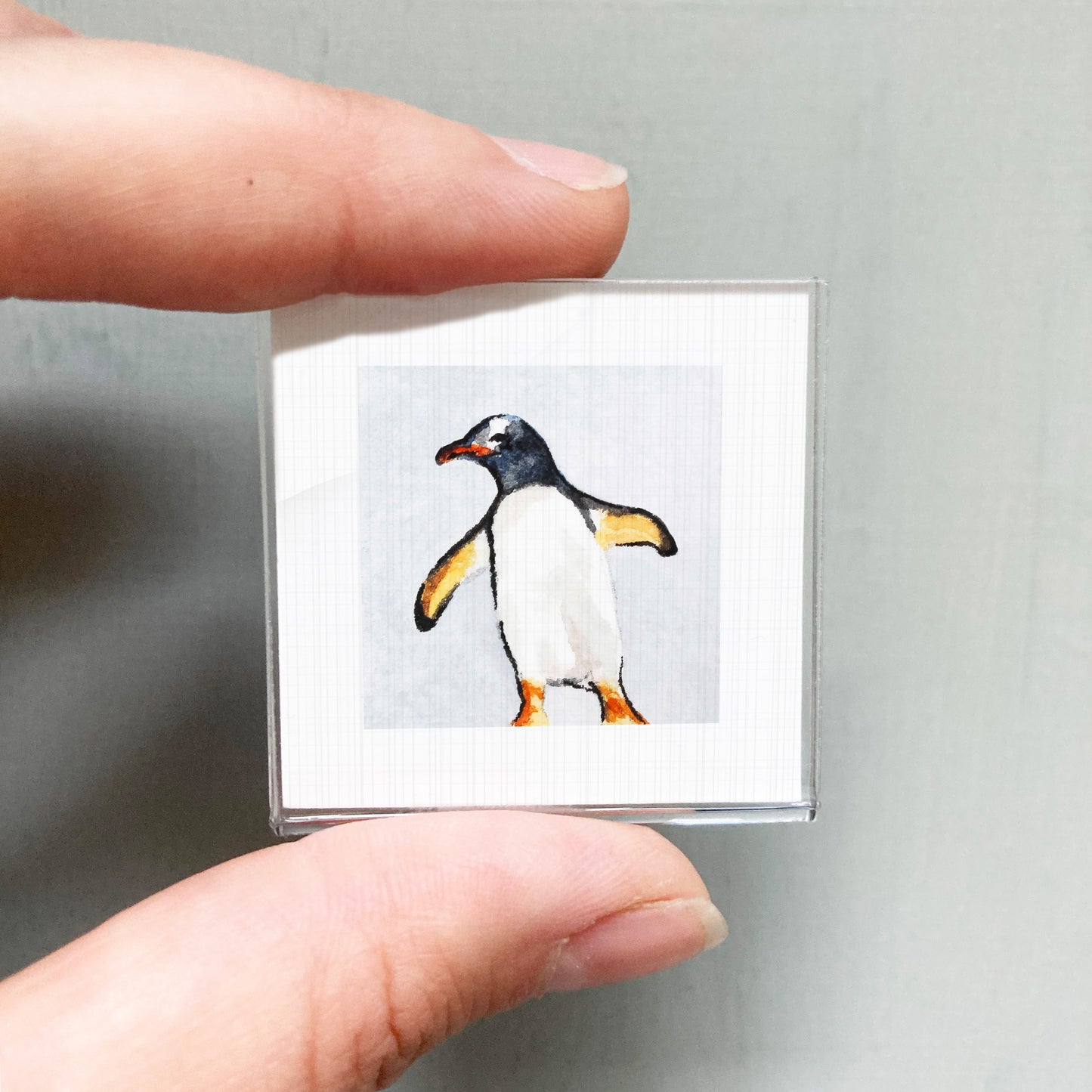 A person's hand is holding a small square picture of a penguin.