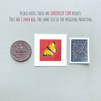 three small items: a silver coin, a red square with a yellow butterfly, and a blue postage stamp.
