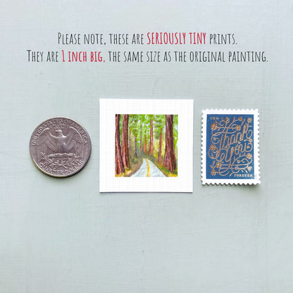 a collection of three small artworks or prints, including a coin, a painting of a forest, and a postage stamp, all of which are described as "seriously tiny prints" and "1 inch big" respectively.