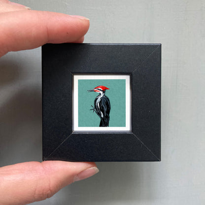 A person's hand is holding a small black frame containing a framed illustration of a woodpecker.