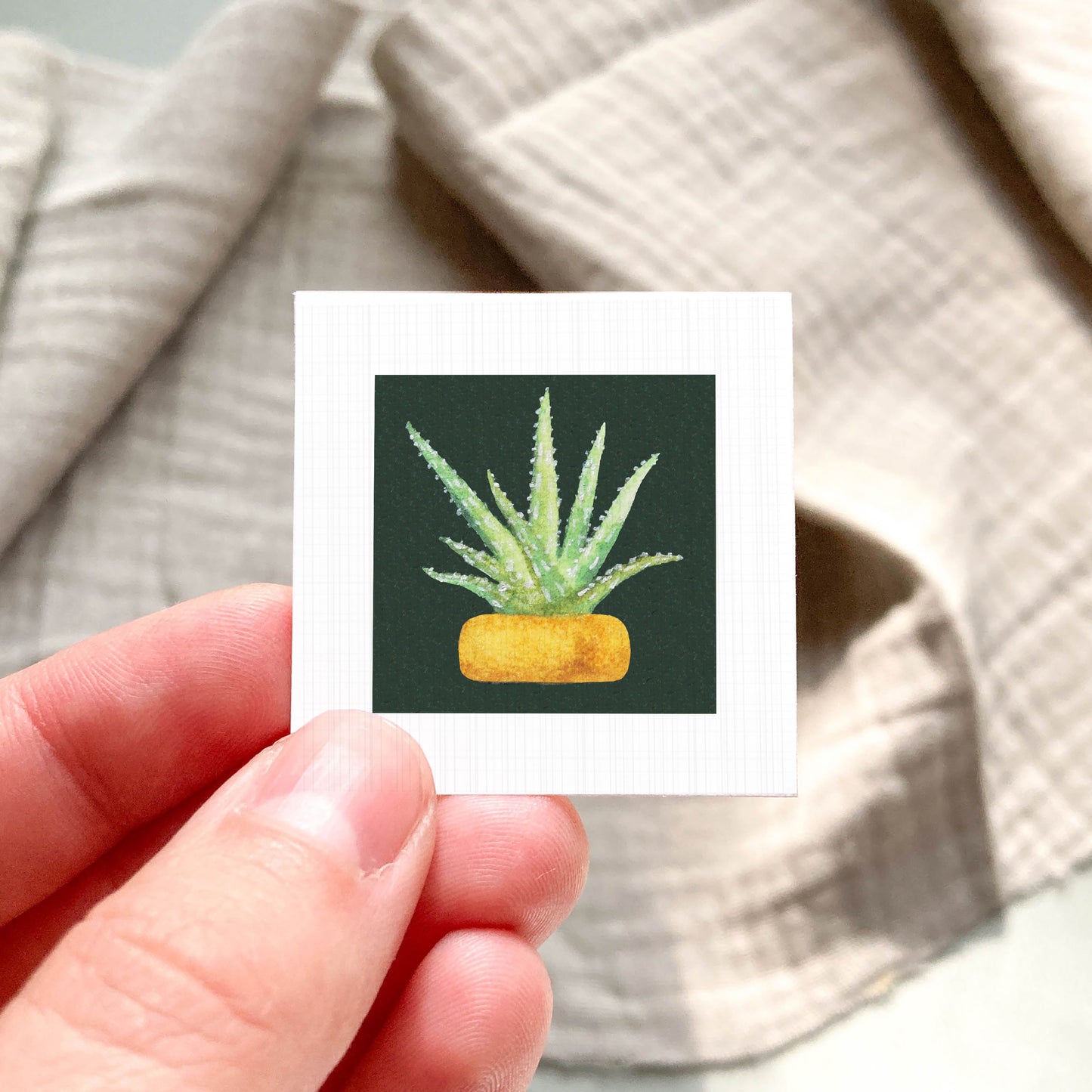 A hand is holding a small square card with a picture of a cactus plant on it.