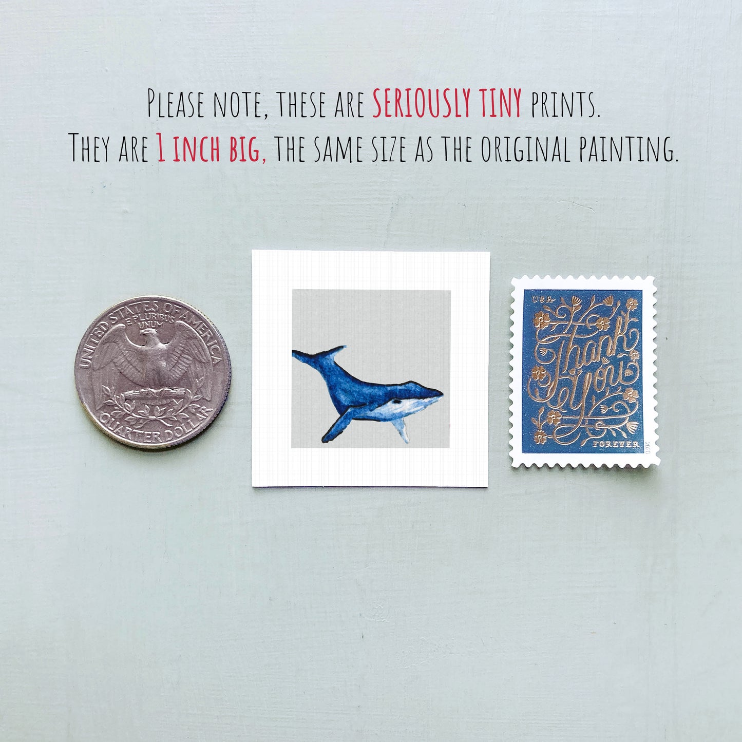 a collection of three small items: a quarter, a framed print of a blue whale, and a postage stamp.