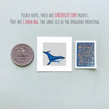 a collection of three small items: a quarter, a framed print of a blue whale, and a postage stamp.