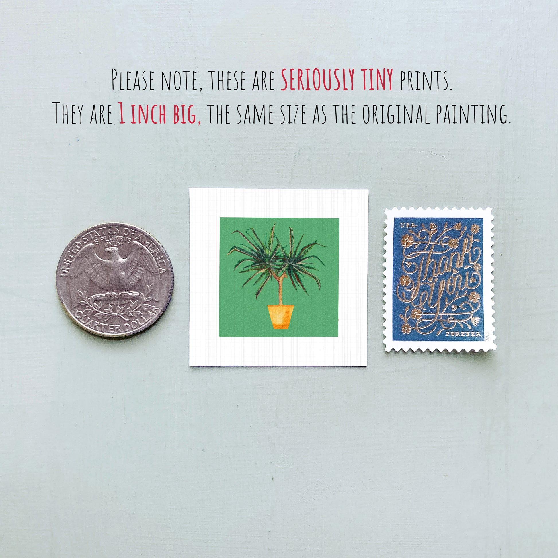 three small prints: a United States quarter, a square print of a plant, and a blue postage stamp with gold lettering.
