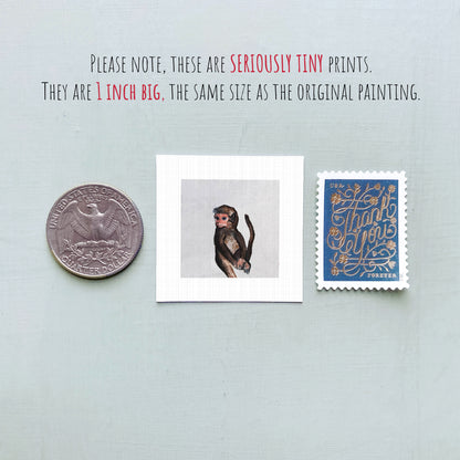 a collection of three small items: a quarter, a framed print of a monkey, and a postage stamp.