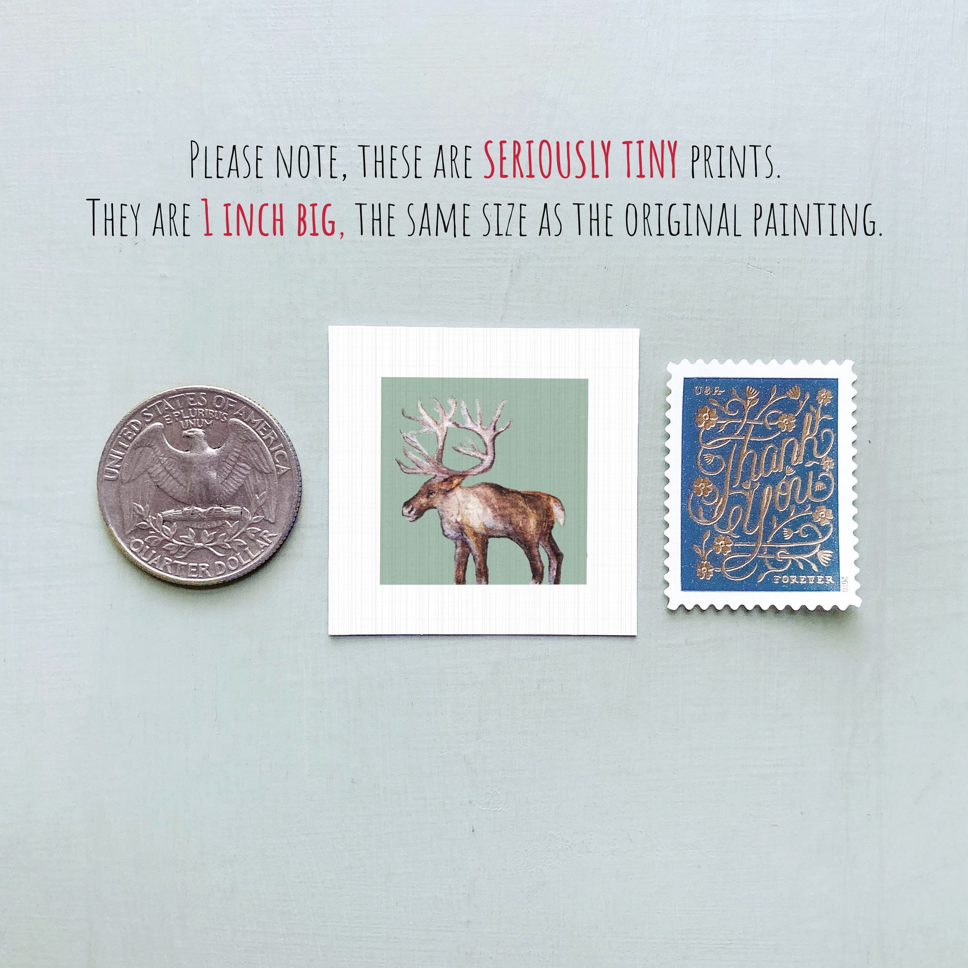 a collection of three small items: a quarter, a postage stamp, and a painting of a moose.