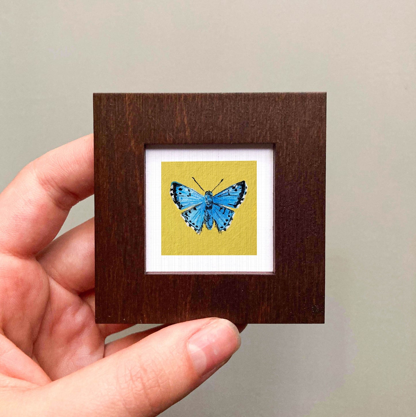 A hand is holding a small wooden frame containing a framed image of a blue butterfly.