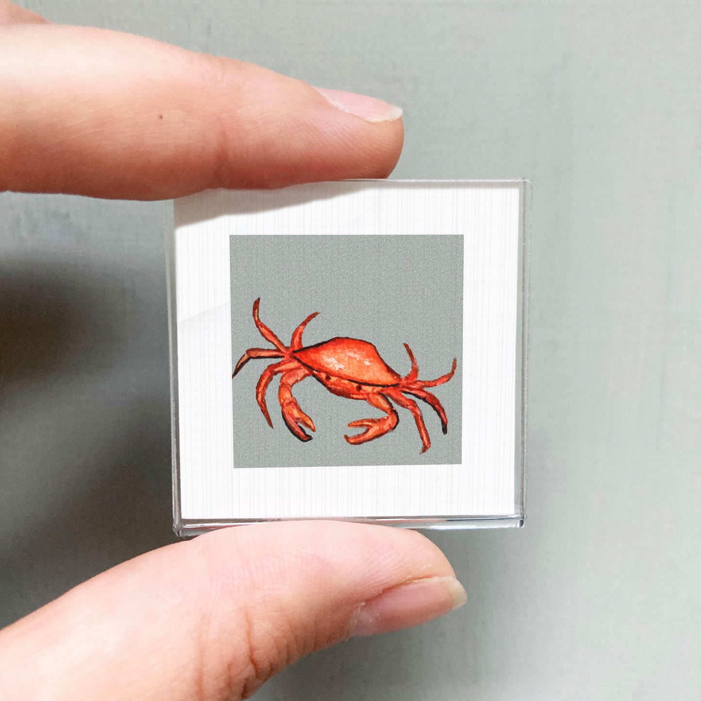 A person's hand is holding a small square picture of a red crab against a gray background.