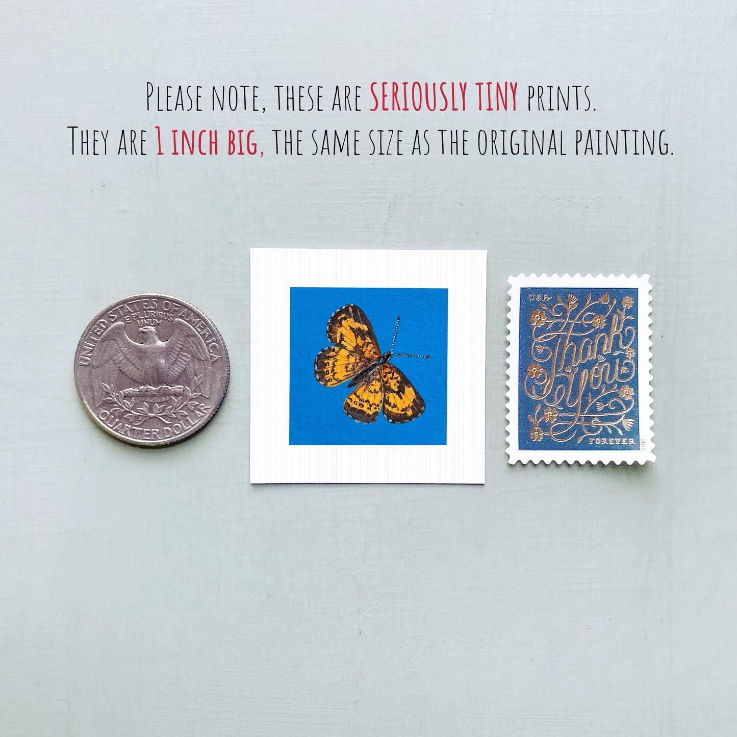 three small items: a silver coin, a blue square with a butterfly image, and a blue postage stamp.
