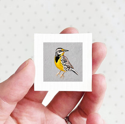 A hand holding a small square picture of a yellow and black bird.