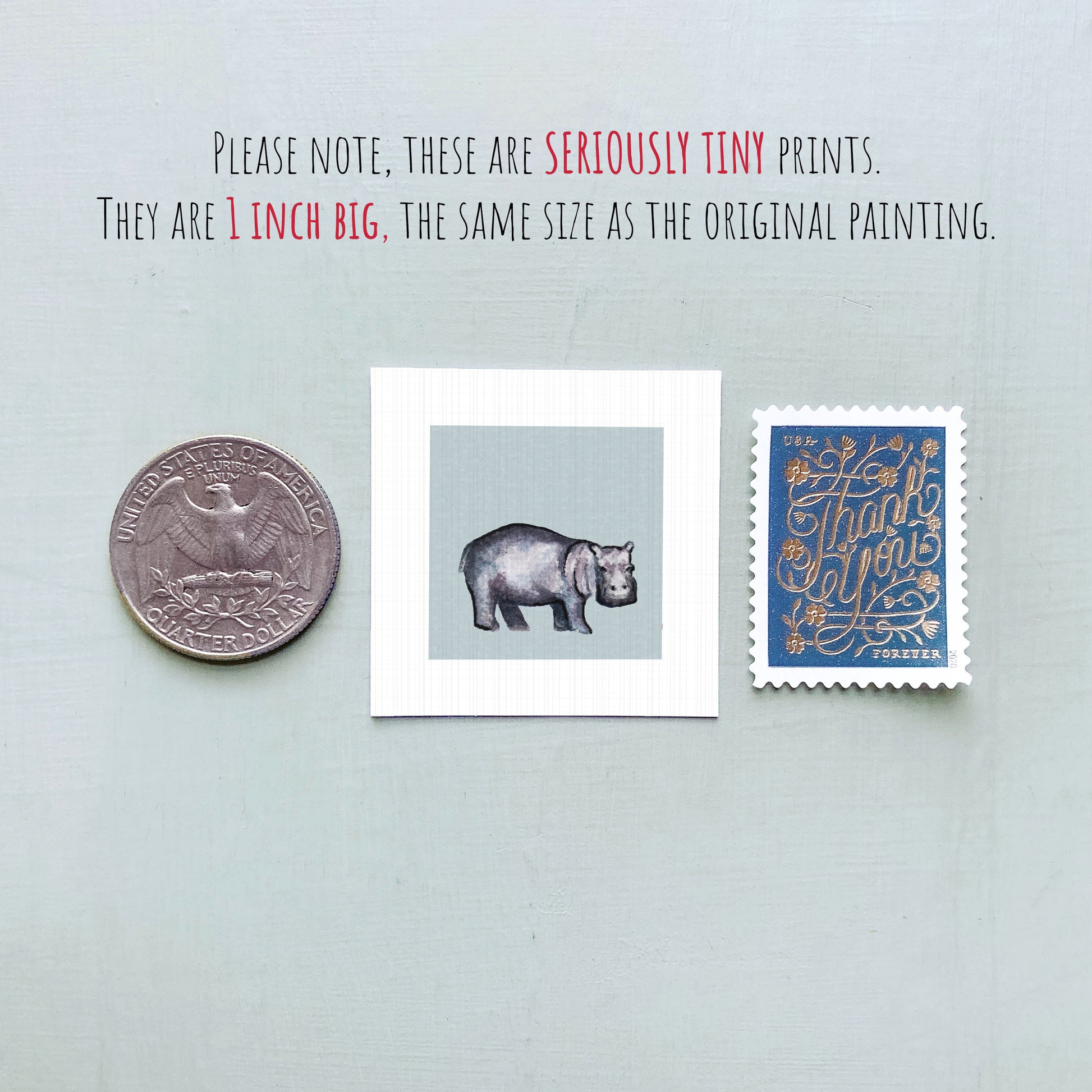 a collection of three small items: a quarter, a square print of a hippopotamus, and a postage stamp.