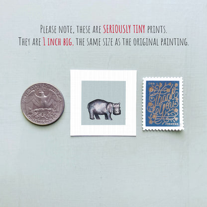 a collection of three small items: a quarter, a square print of a hippopotamus, and a postage stamp.