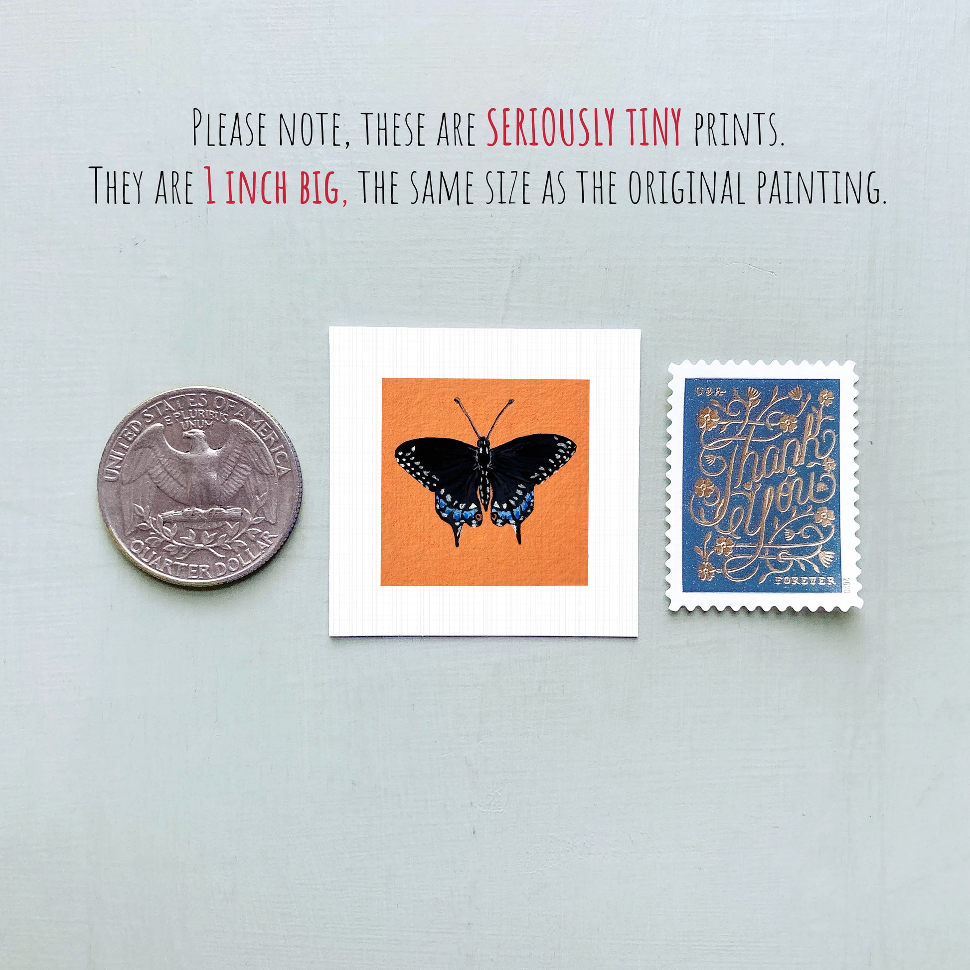 three small items: a silver coin, a white square with an orange butterfly illustration, and a blue postage stamp with gold lettering.