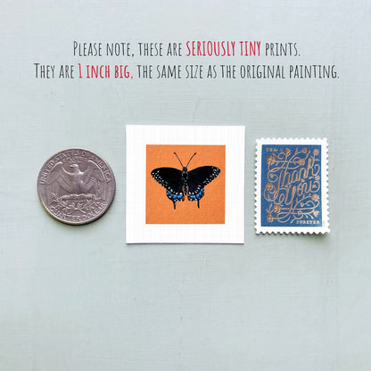 three small items: a silver coin, a white square with an orange butterfly illustration, and a blue postage stamp with gold lettering.