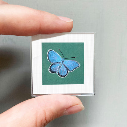 A person's hand is holding a small square card with a picture of a blue butterfly on it.