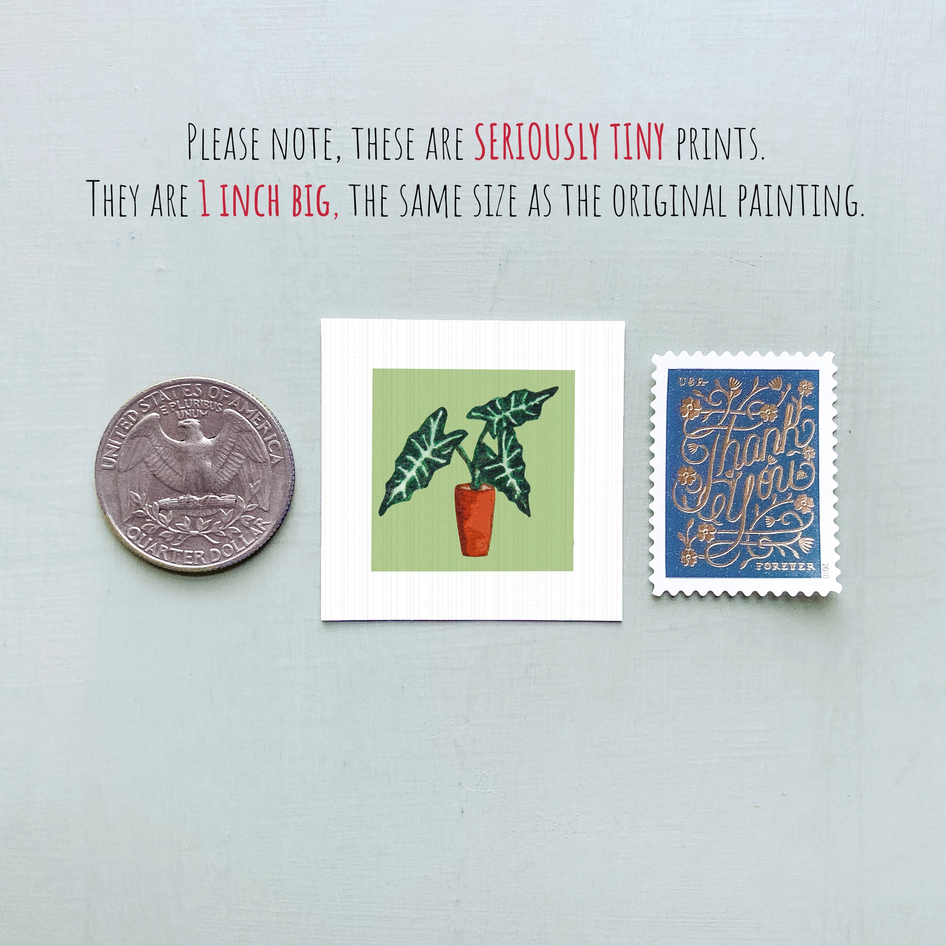 three small prints: a United States quarter, a square print of a plant, and a blue postage stamp with gold lettering.