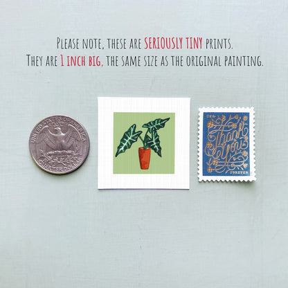 three small prints: a United States quarter, a square print of a plant, and a blue postage stamp with gold lettering.